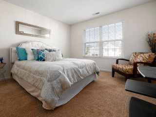 Mini Blinds | Sunnyvale Blinds & Shade CA Cordless mini blinds elegantly installed on a living room window, providing effective light control and a sleek modern look.