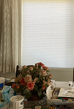 Cellular Window Shades in Sunnyvale